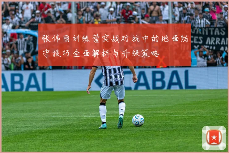 张伟丽训练营实战对抗中的地面防守技巧全面解析与升级策略