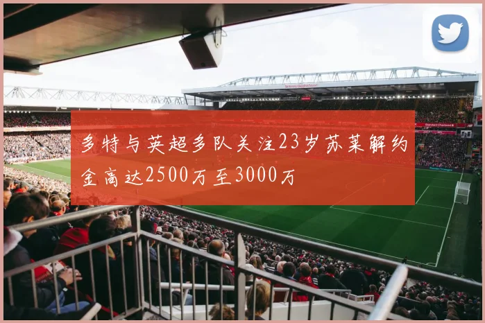 多特与英超多队关注23岁苏莱解约金高达2500万至3000万